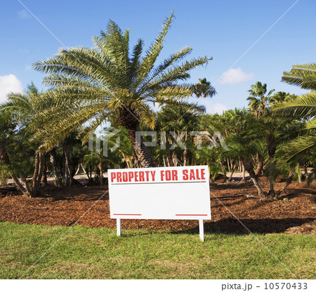 Property for sale sign 10570433