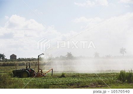 Tractor watering field, Florida, United States 10570540