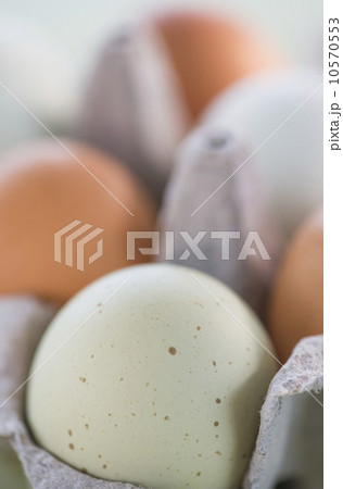 Close-up of eggs in carton 10570553