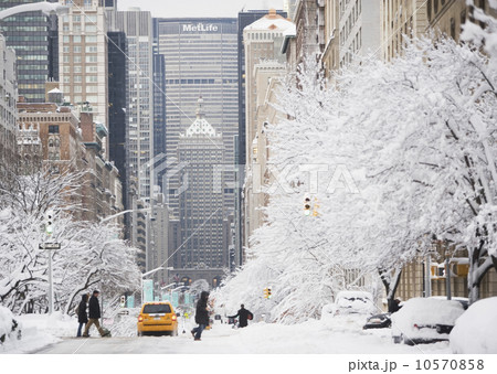 USA, New York City, Park Avenue in winter USA, New York City, Park Avenue in winter 10570858