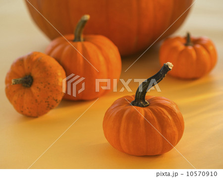 Close up of small pumpkins Close up of small pumpkins 10570910