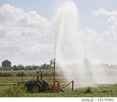 Tractor watering field, Florida, United States Tractor watering field, Florida, United States 10570962