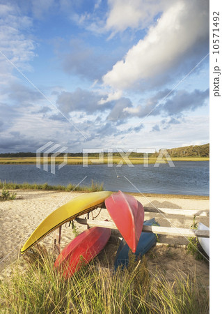 USA, New York, Long Island, Cutchogue USA, New York, Long Island, Cutchogue 10571492