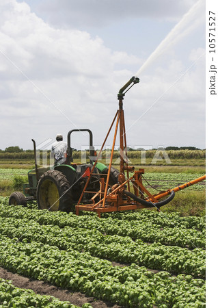 Tractor watering field, Florida, United States Tractor watering field, Florida, United States 10571527