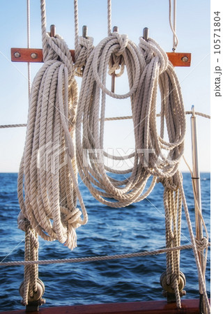 Coiled ropes on yacht deck 10571804