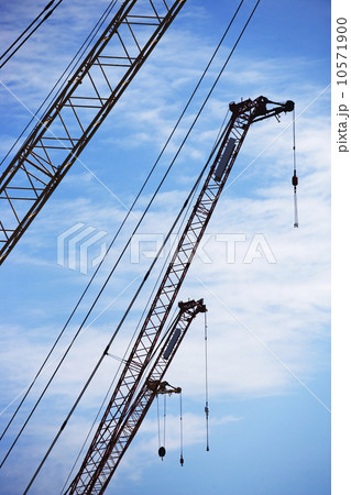 Cranes 10571900