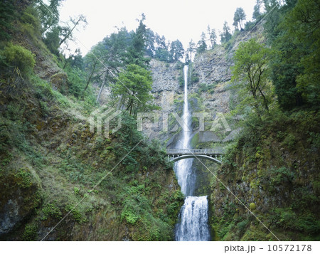 Multnomah Falls, Oregon 10572178