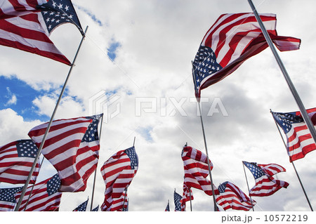 American flag 10572219