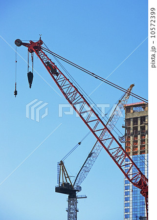 Cranes Cranes 10572399