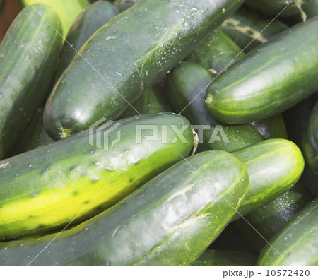 cucumbers, produce 10572420