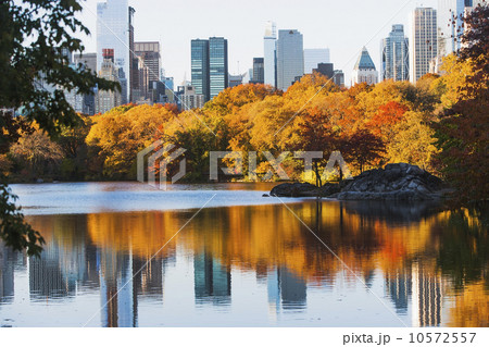 View of Central Park in autumn View of Central Park in autumn 10572557