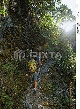 Hikers on forest trail Hikers on forest trail 10572863