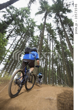 Mountain bikers riding in forest 10573546