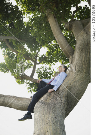 Businessman sitting in tree 10573698