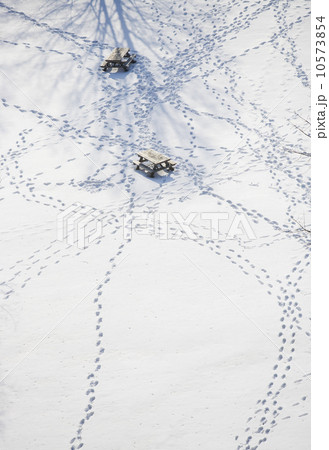 USA, New York State, Croton on Hudson, Footprints in snow USA, New York State, Croton on Hudson, Footprints in snow 10573854