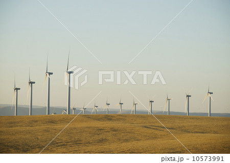 Rows of windmills on wind farm 10573991