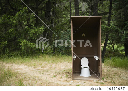 Outhouse in forest 10575087