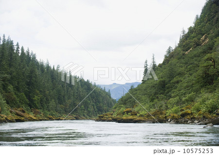 River running through forested canyon 10575253
