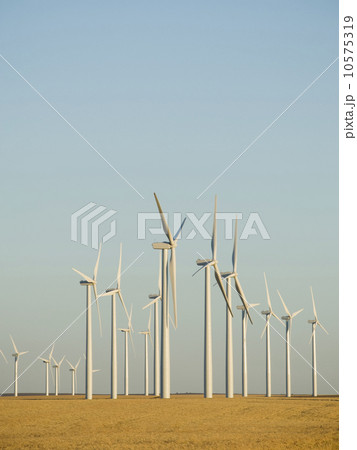 Rows of windmills on wind farm 10575319