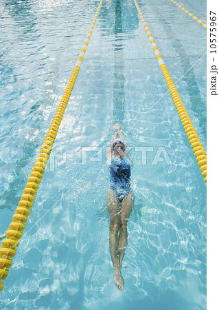 Woman swimming laps 10575967