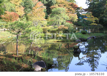 円成寺 円成寺 10576330