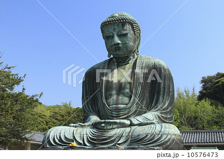 鎌倉大仏の新緑 鎌倉大仏の新緑 10576473