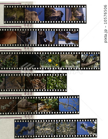 Slide film 10576506
