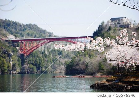 恵那峡の桜 10576546