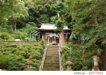 走水神社（横須賀市走水／神奈川県） 10577052
