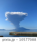 桜島 10577088