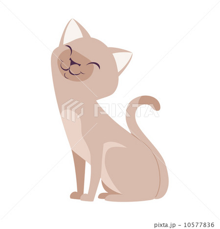 Vector  Cute Cartoon Cats 10577836
