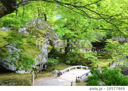 京都　宝厳院　獅子岩 10577869