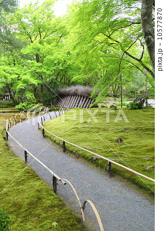 京都 新緑の宝厳院 京都 新緑の宝厳院 10577870