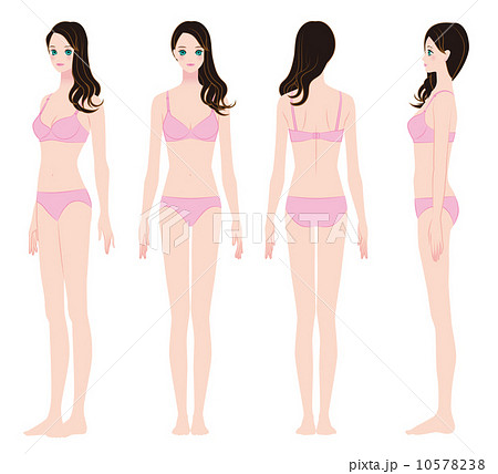 スリムなプロポーションの女性 スリムなプロポーションの女性 10578238