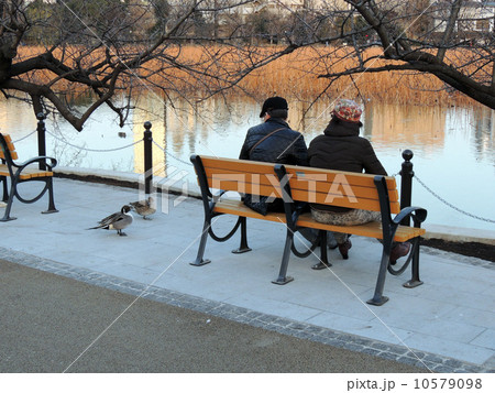 池のほとりで 10579098