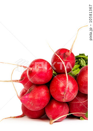 A bunch of fresh radishes isolated on white 10581367