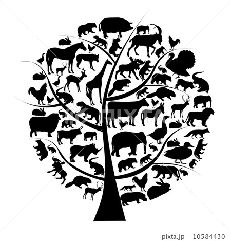 Vector set of animals silhouette on tree. 10584430