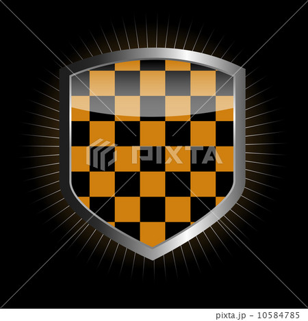 Protect shield vector illustration 10584785