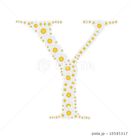 flower alphabet from White daisies vector illustration 10585317