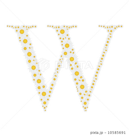 flower alphabet from White daisies vector illustration 10585691