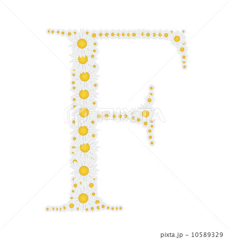flower alphabet from White daisies vector illustration flower alphabet from White daisies vector illustration 10589329