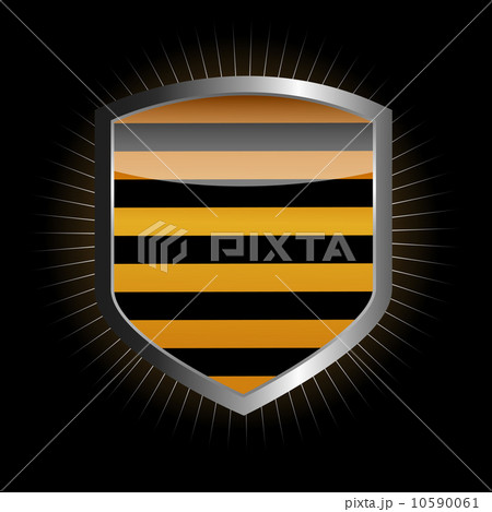 Protect shield vector illustration Protect shield vector illustration 10590061