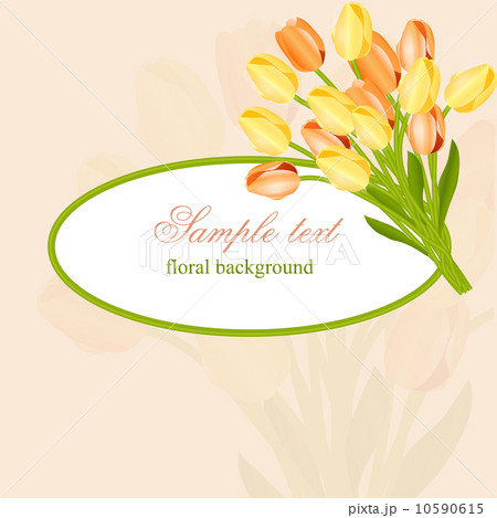 Floral background with tulips. Vector illustration . 10590615