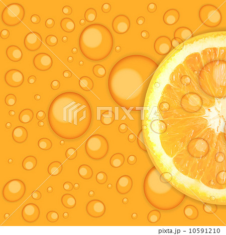 Fresh juicy orange background vector illustration 10591210