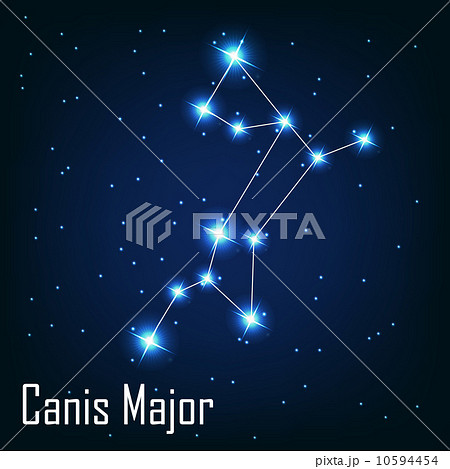 The constellation " Canis Major" star in the night sky. Vector i The constellation " Canis Major" star in the night sky. Vector i 10594454