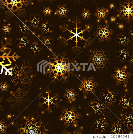 Abstract beauty Christmas and New Year background. vector illust 10594541