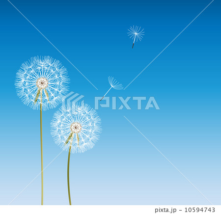 abstract dandelion background vector illustration abstract dandelion background vector illustration 10594743