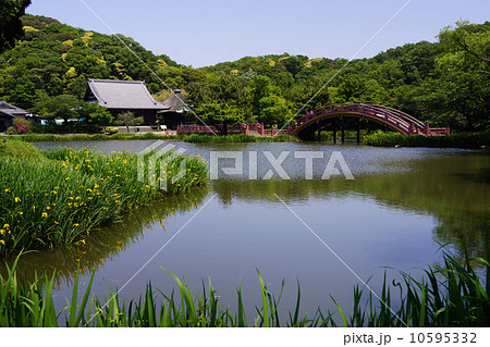 称名寺 称名寺 10595332