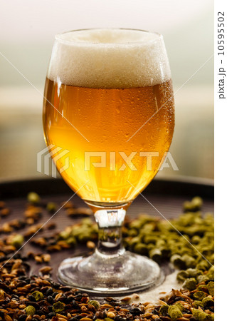 beer in the bar 10595502