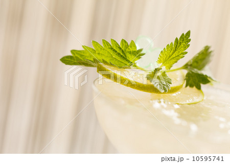cocktail with mint 10595741